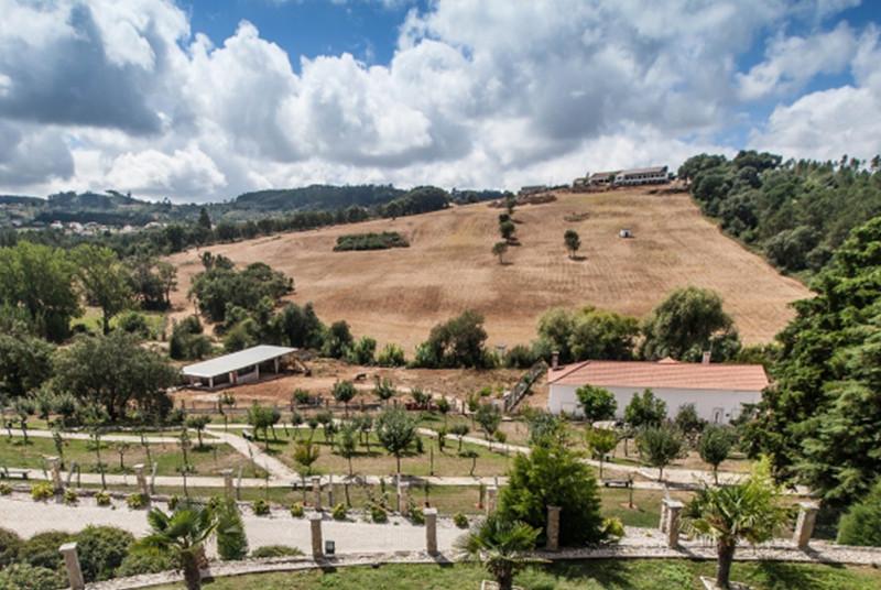 Paysage de Pombal
