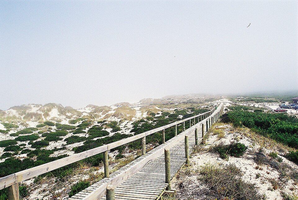 Praia do Osso da Baleia